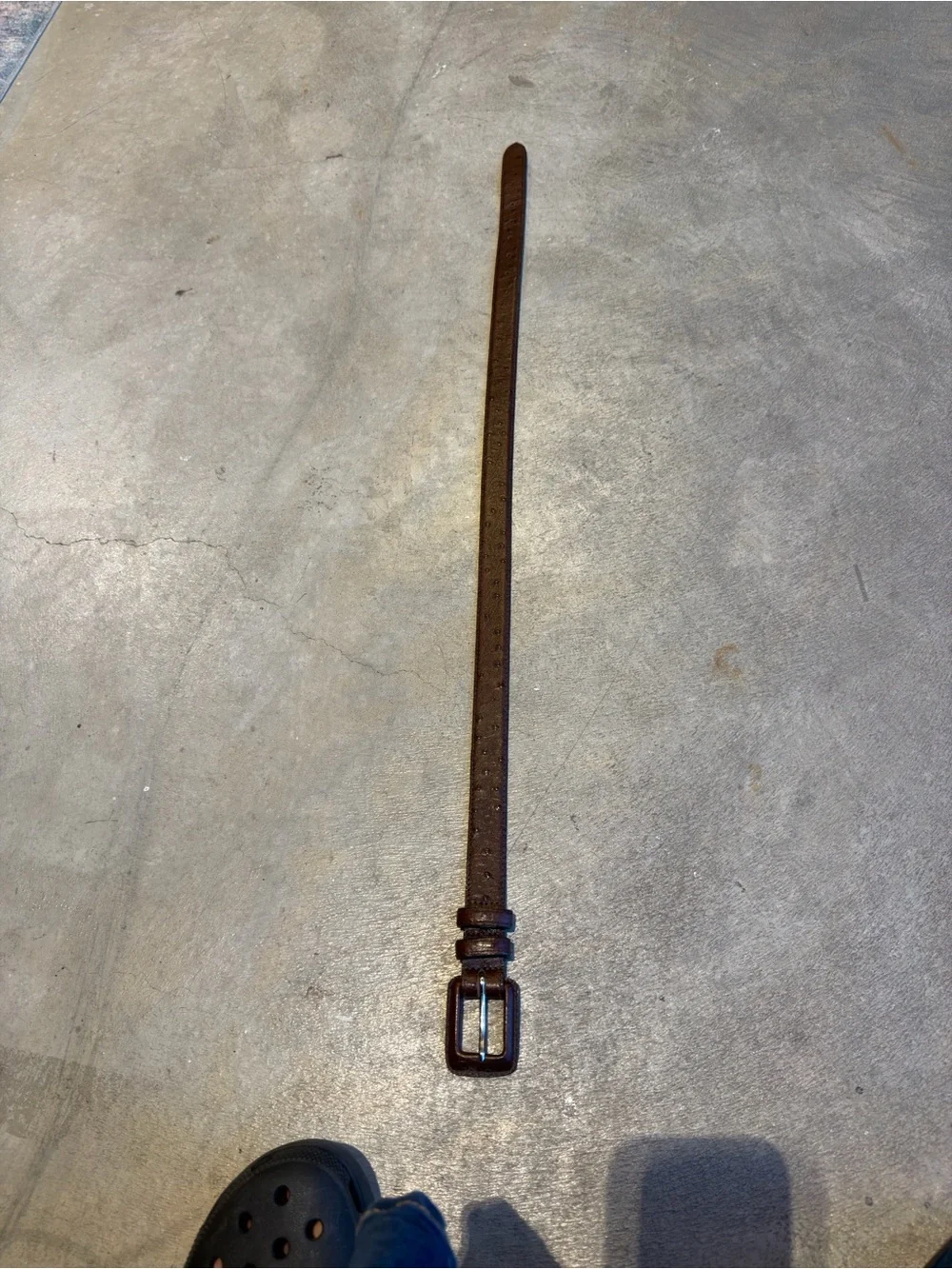 Women's Brown Leather Belt WCM New York